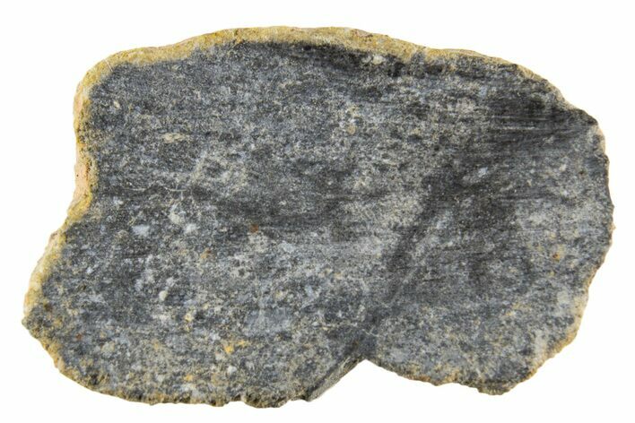 Polished Lunar Meteorite ( g) End Cut Slice - NWA #333173